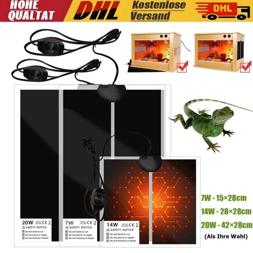 Pet reptile terrarium - pet,